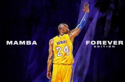 开云在线赛事平台-北欧风暴席卷南亚雄狮，莱万多夫斯基一己之力，芬兰绝杀印度挺进2026世界杯十六强